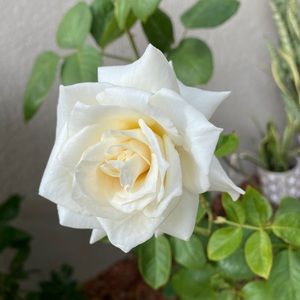 EVERYTHING ON MY PAGE $5